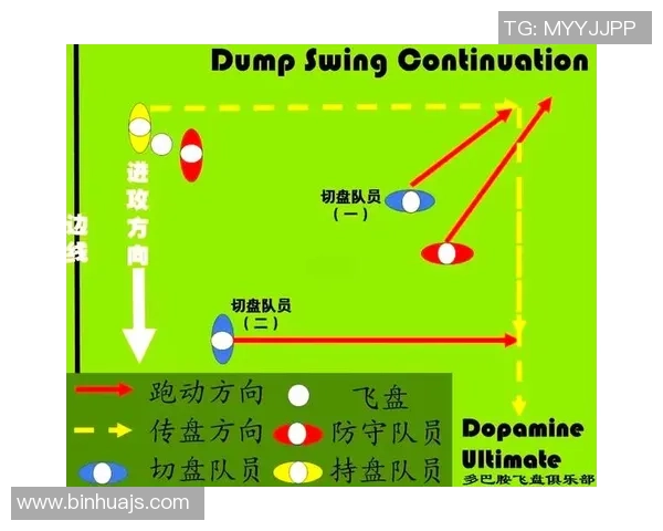 飞盘战术解析：北京飞盘队如何构建高效区域防守体系
